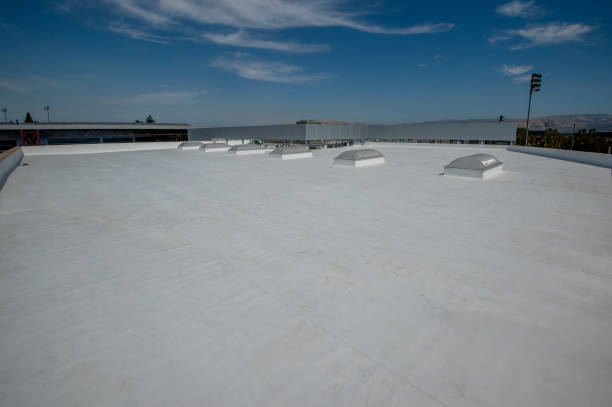 Best Hot Roofs  in Lamont, MI