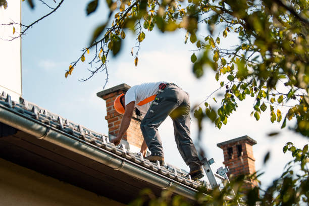 Best Flat Roofing  in Lamont, MI
