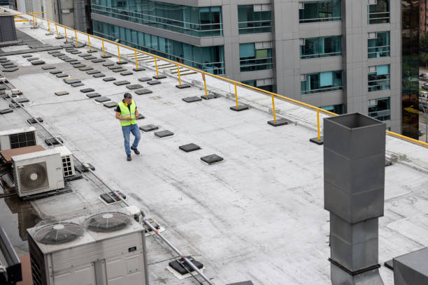 Best Metal Roofing Installation  in Lamont, MI