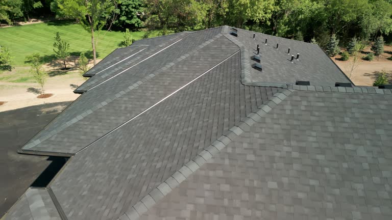 Best Roof Insulation Installation  in Lamont, MI