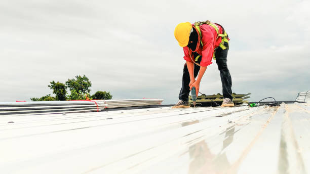 Best Roof Maintenance and Cleaning  in Lamont, MI