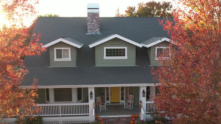 Roof Insulation in Lamont, MI