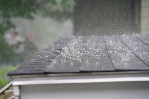 Gutter Replacement in Lamont, MI