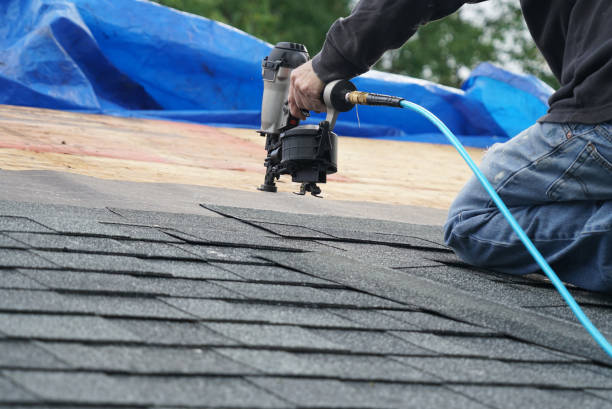 Best Roof Ventilation Installation  in Lamont, MI