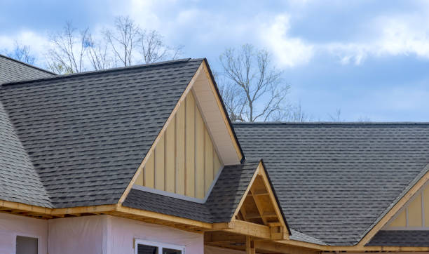 Best Asphalt Shingles Roofing  in Lamont, MI