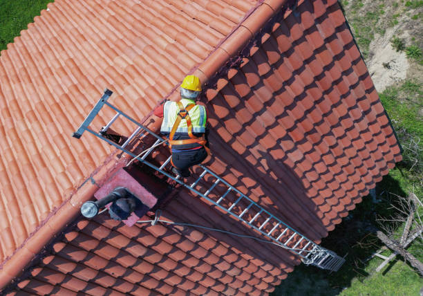 Best Gutter Installation and Repair  in Lamont, MI