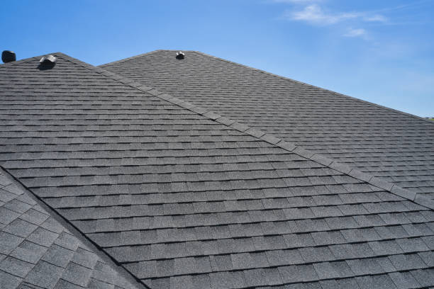 Best Chimney Flashing Repair  in Lamont, MI