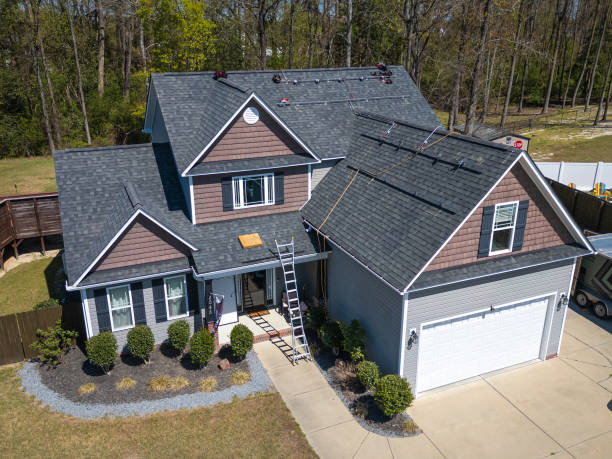 Best Skylight Installation and Repair  in Lamont, MI