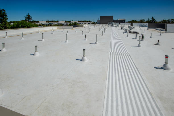 Best Roof Insulation Installation  in Lamont, MI